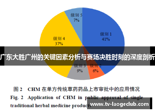 广东大胜广州的关键因素分析与赛场决胜时刻的深度剖析