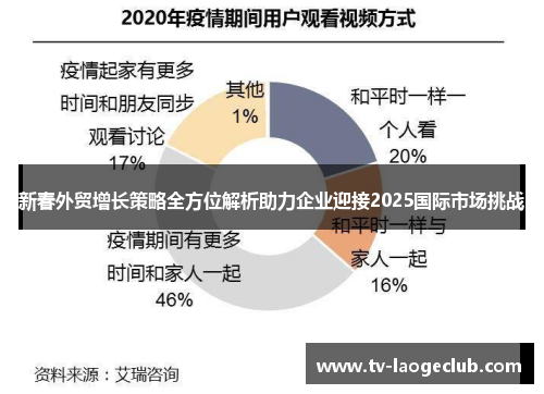 新春外贸增长策略全方位解析助力企业迎接2025国际市场挑战