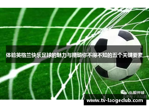 体验英格兰快乐足球的魅力与精髓你不得不知的五个关键要素
