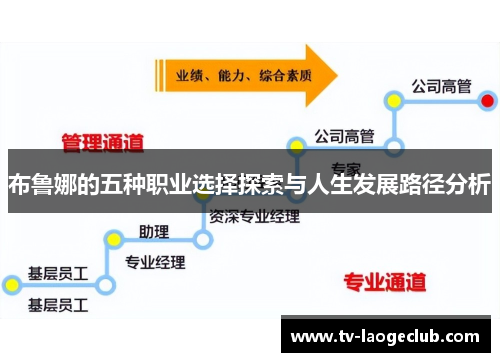 布鲁娜的五种职业选择探索与人生发展路径分析