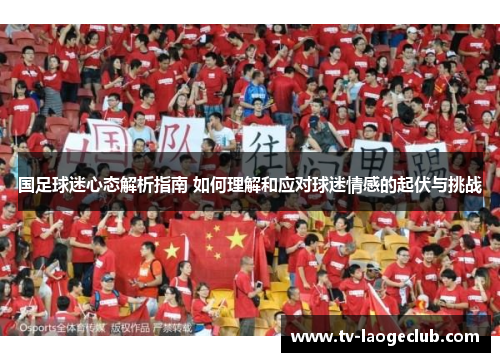 国足球迷心态解析指南 如何理解和应对球迷情感的起伏与挑战