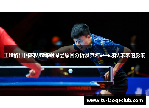 王皓辞任国家队教练组深层原因分析及其对乒乓球队未来的影响