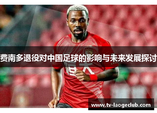 费南多退役对中国足球的影响与未来发展探讨