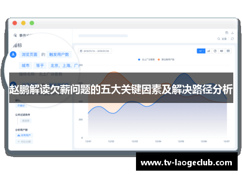 赵鹏解读欠薪问题的五大关键因素及解决路径分析