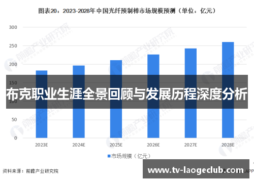 布克职业生涯全景回顾与发展历程深度分析